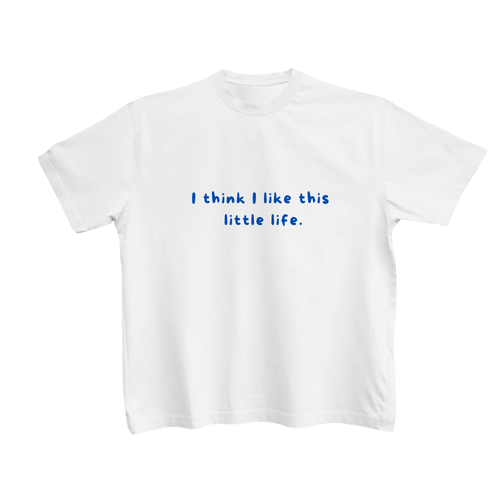 Little life t-shirt