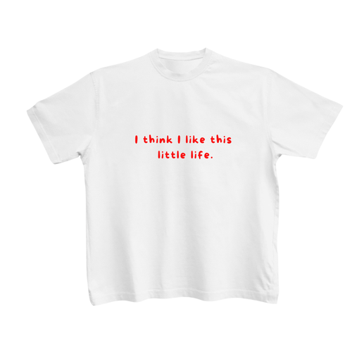 Little life t-shirt